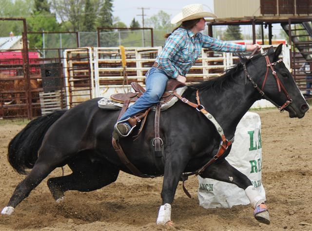 Rodeo