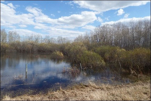 spring rural scene pic