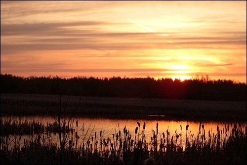 rural scene pic