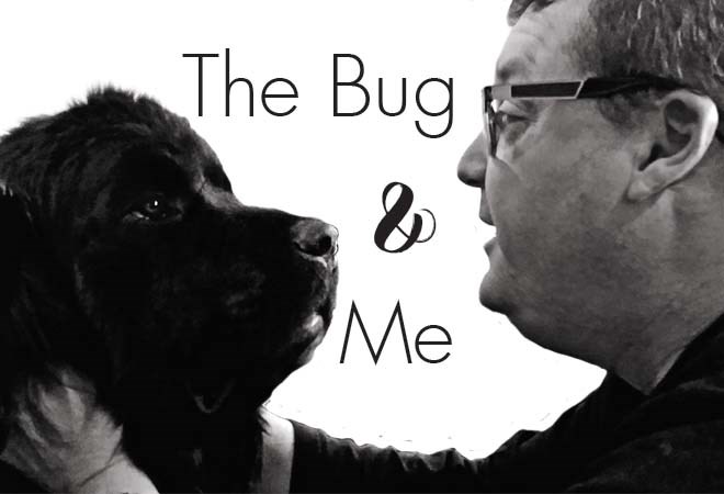 The Bug & Me