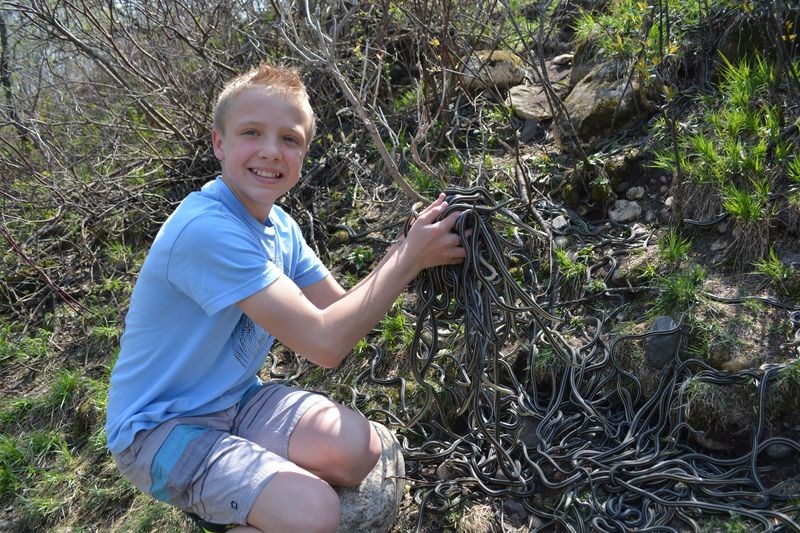 Jayden Bisschop said he loves snakes and enjoyed playing with them at the Fort Livingstone historic site near Pelly. His family has made it an annual trip to go the site to see the snakes come out in spring.