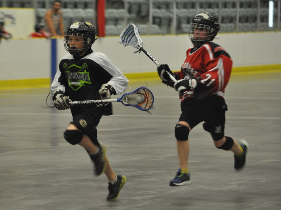 vipers mustangs may 2016