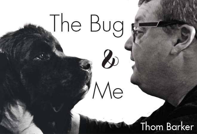 The Bug & Me
