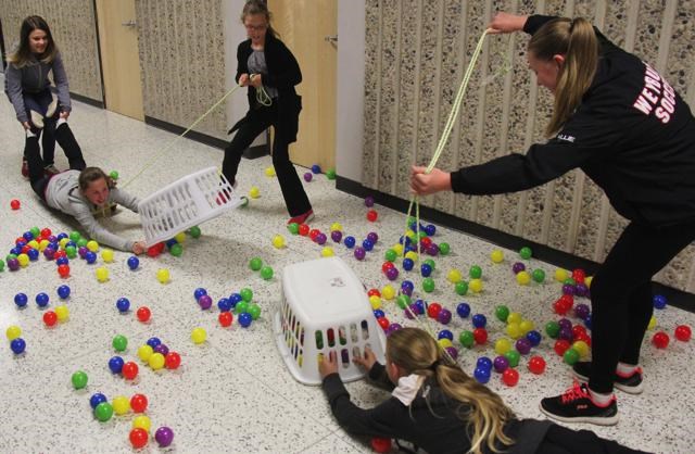 Activity night