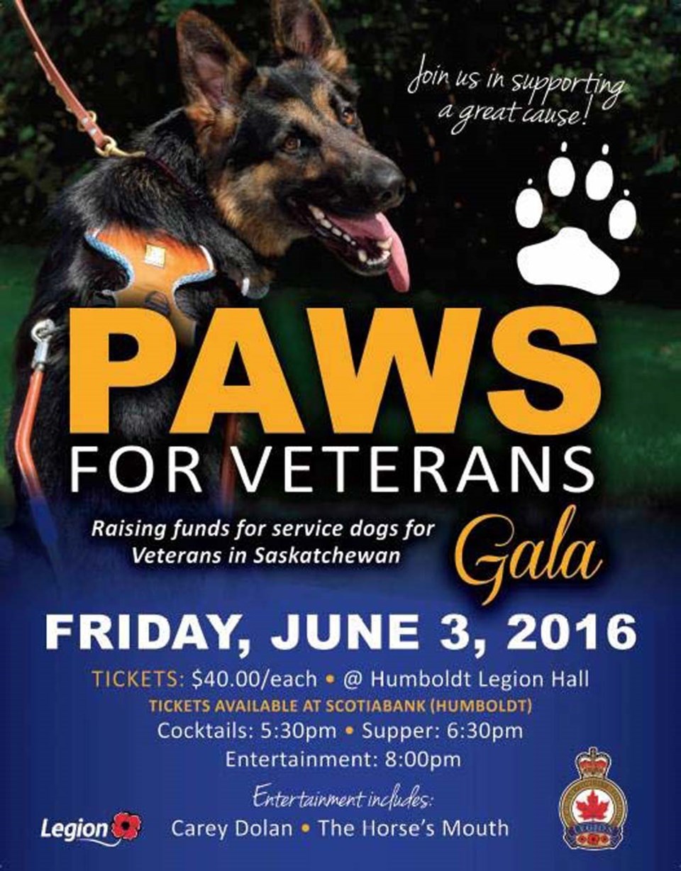 Paws for Veterans