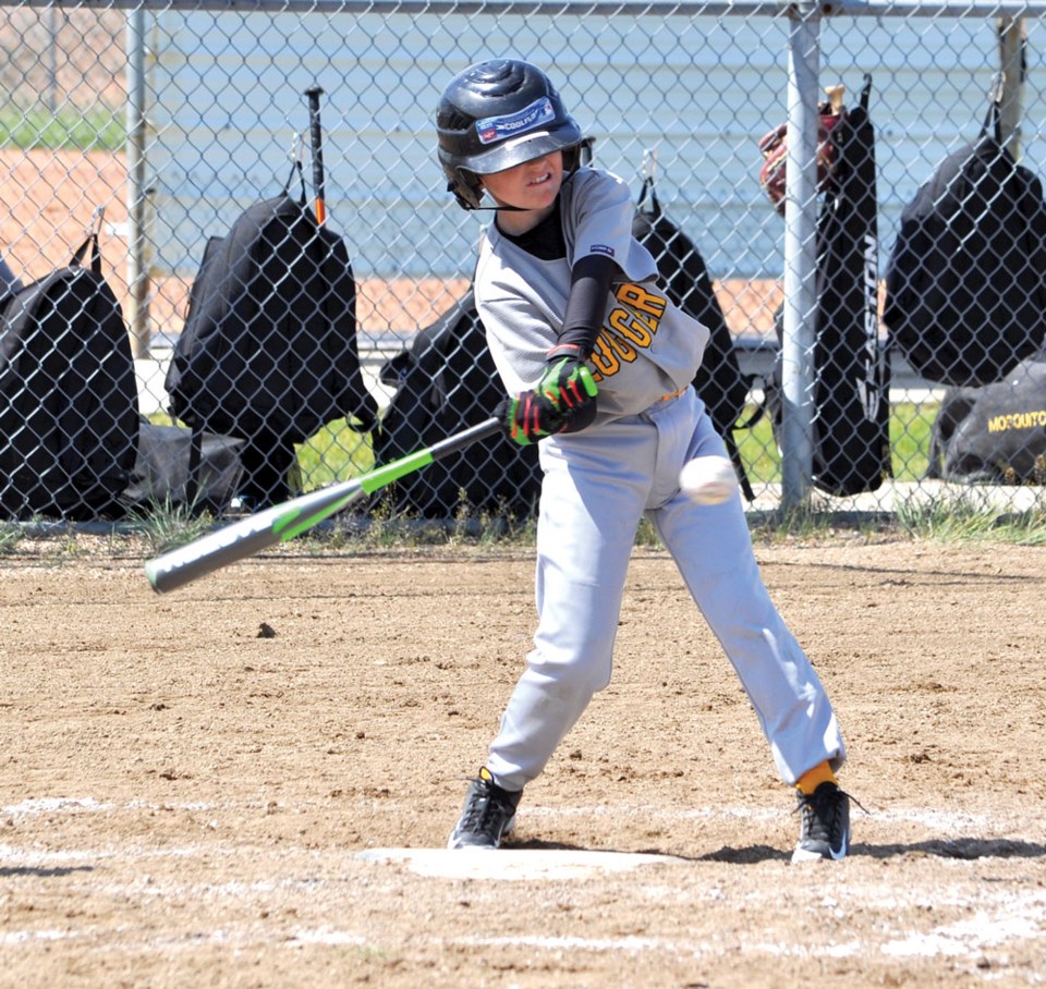 Mosquito Sluggers pic