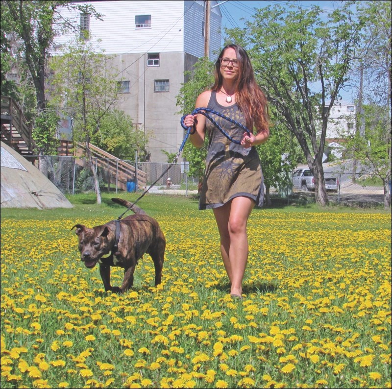 A Walk In The Park