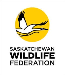 swf logo