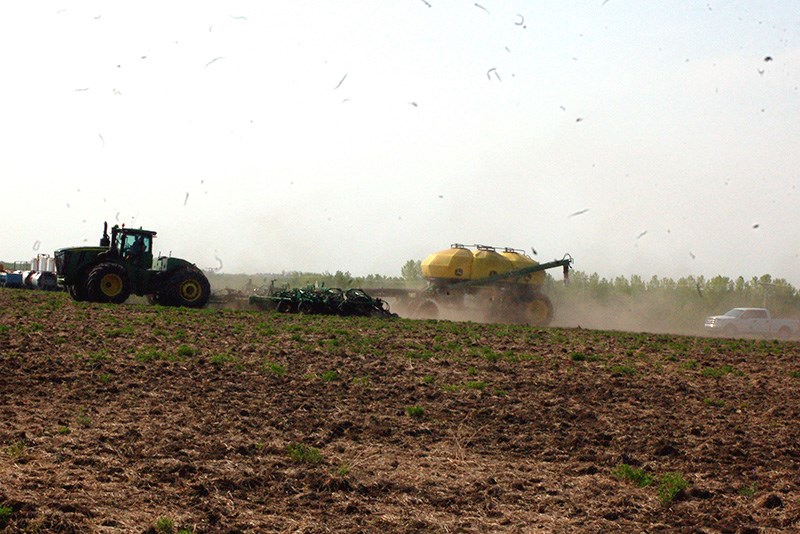 Canola test plots were seeded as a crop fundraiser for the Preeceville Arena.