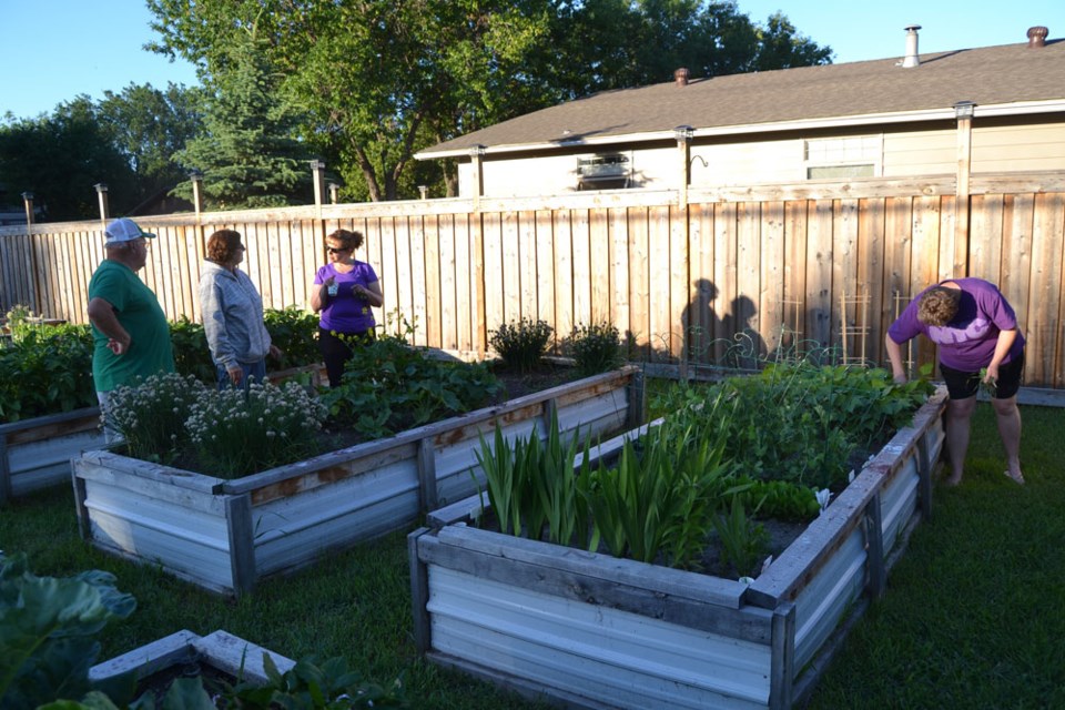 community garden