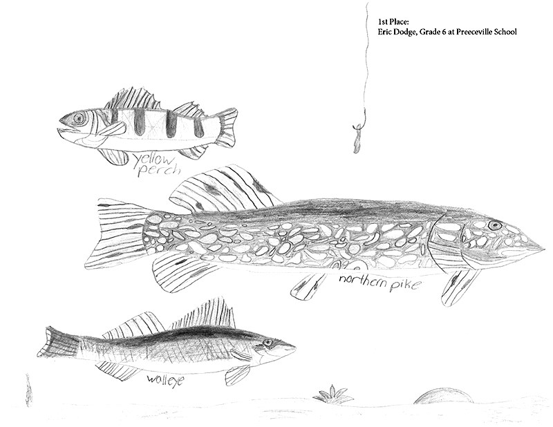 Placing first in the Saskatchewan Wildlife Federation fish art work competition was Eric Dodge of Preeceville.