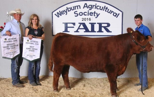 reserve champion