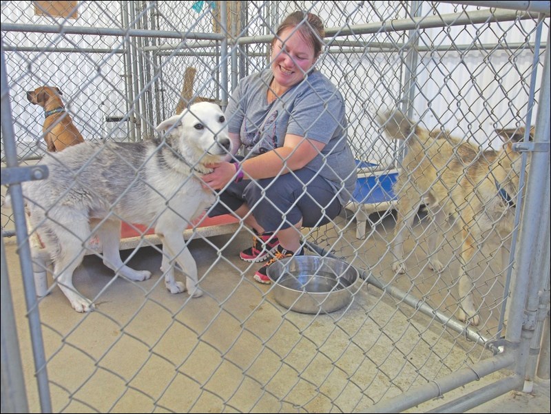 Gail Neufeld, shelter assistant at the Flin Flon, Creighton and Area SPCA, gives some love to Nalah, one of 
eight dogs currently living at the shelter.