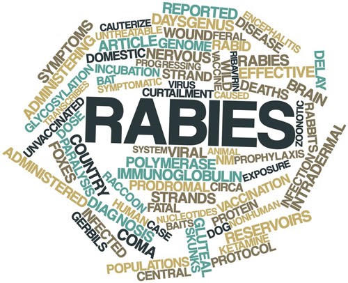 Rabies