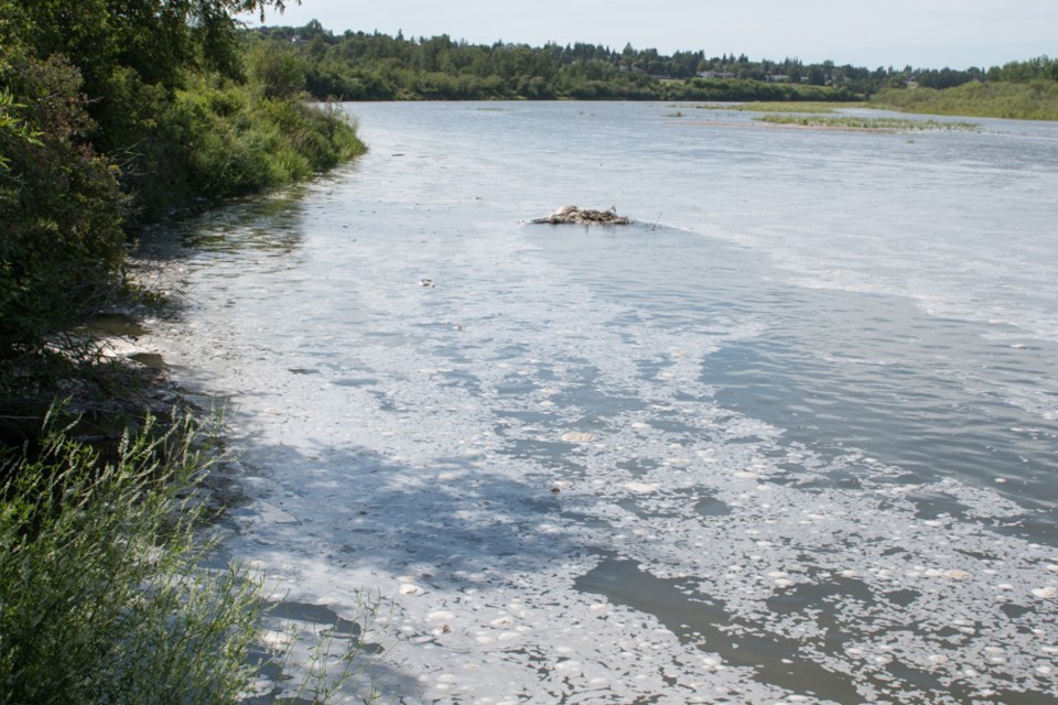 North Sask River shoreline