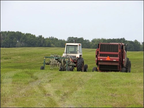 farming
