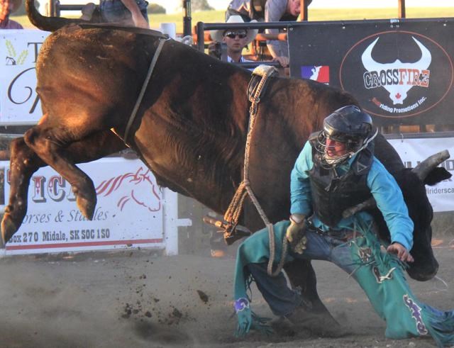 bull riding
