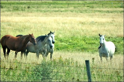 fall rural scene pic