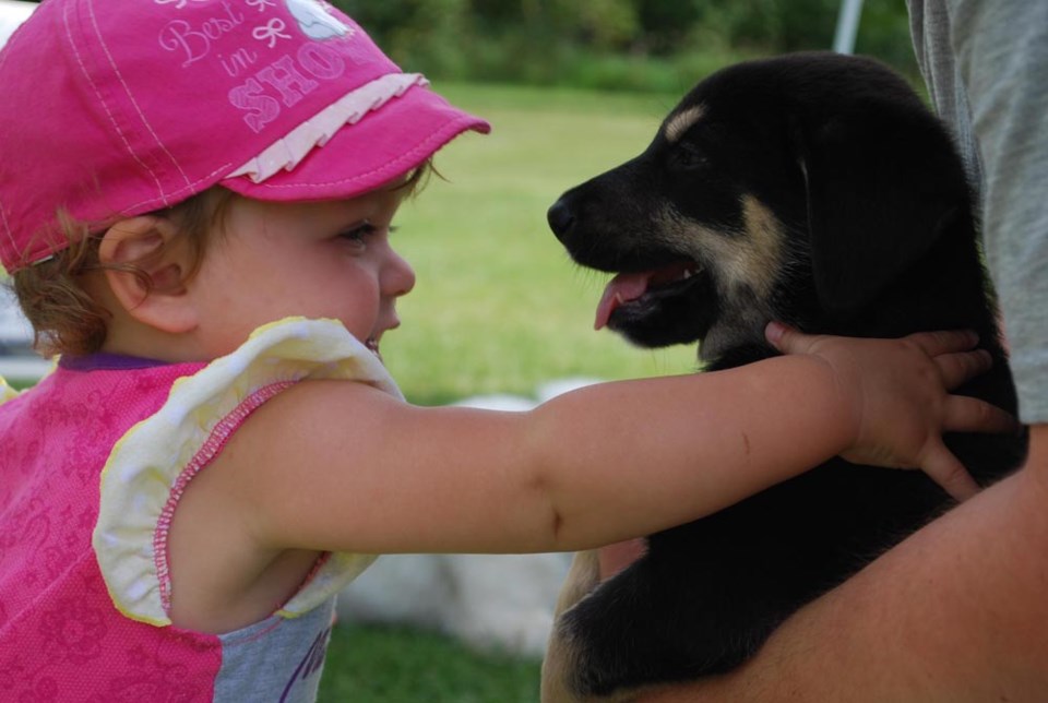 Puppy Kisses