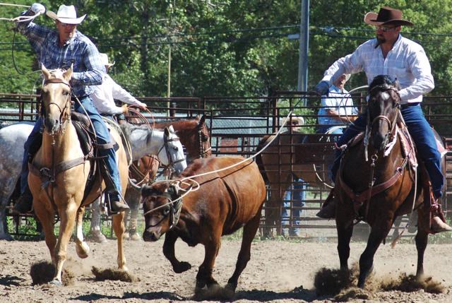 team roping