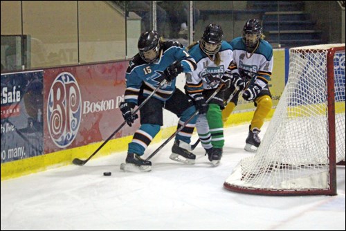 AAA Sharks Camp