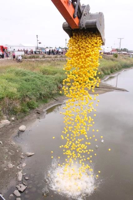 Duck derby