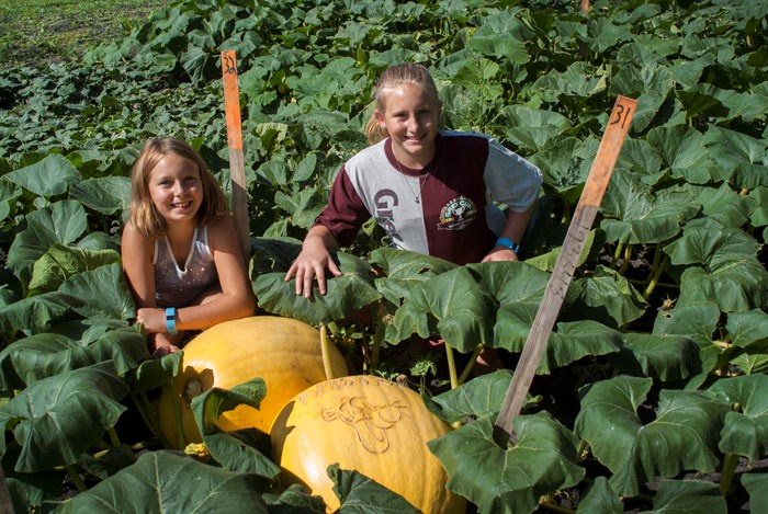 Part time workers Nevaeh Lang (left) and Kelsey Lang (right) showcase the fruits of their labour at the Purple Martin Orchard and Gardens.