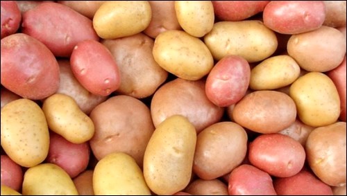 potatoes