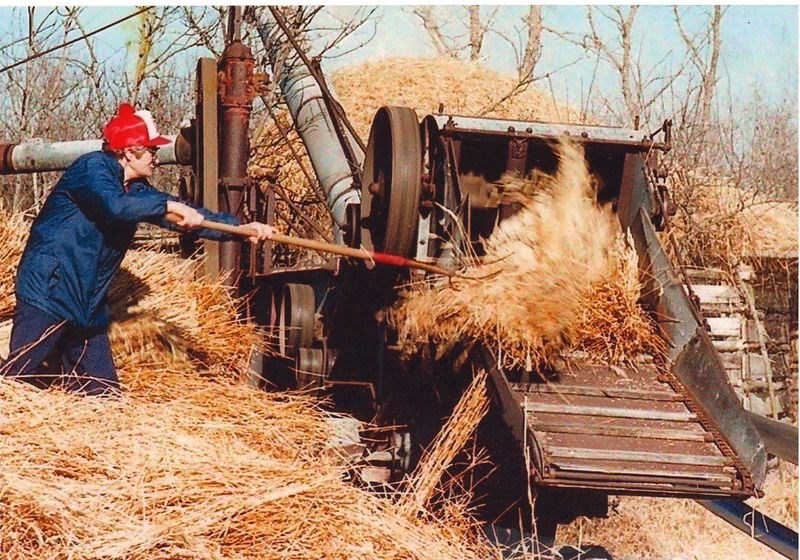 Lorraine Barabash took this photograph of a threshing bee a few years ago and it won a first-place ribbon at this year’s provincial horticulture show in the photography category. Barabash said she entitled the picture Reflections because she said it allows her to be “thinking back into the past.”