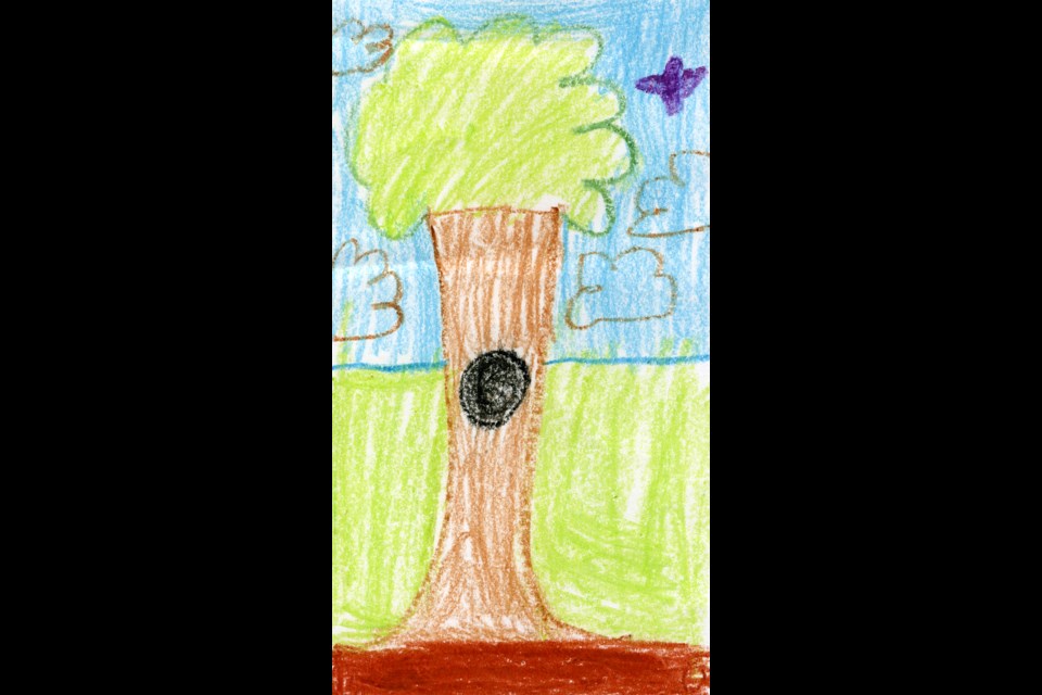 Turning an eye to the skies... Emma Miller, Grade 4 M.C. Knoll School
