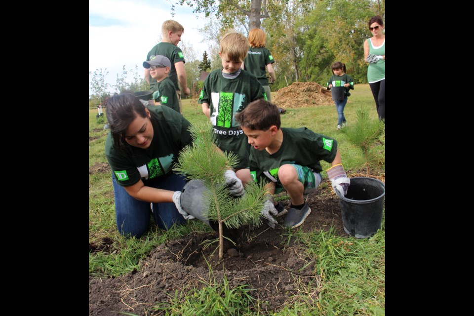 TD Tree Days saw 150 trees planted in the city nursery at Logan Green to help beautify Yorkton. Volunteers planting included TD Canada Trust employees and their families, as well as support from Yorkton Boys and Girls Club. The volunteers would like to thank Penguin Ice and Superstore for refreshments.