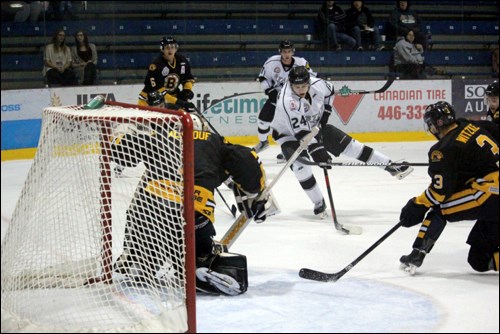Bruins North Stars