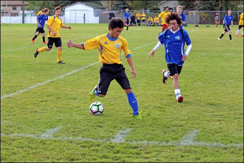 Crusaders Royals