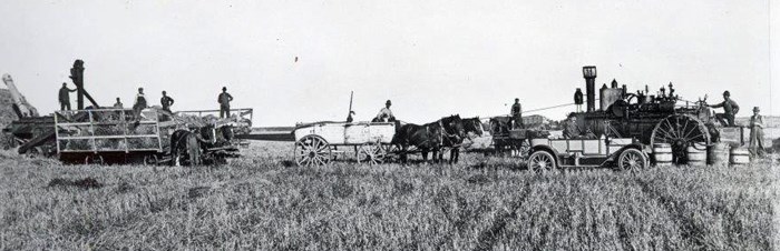 Bull Brothers farm