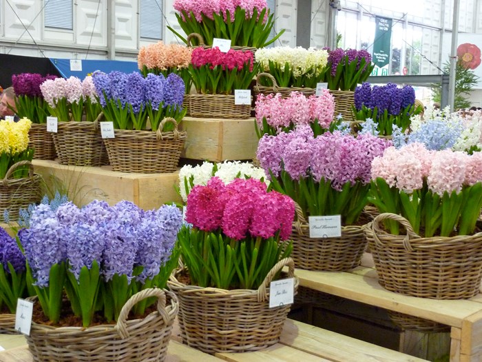 Bulbs