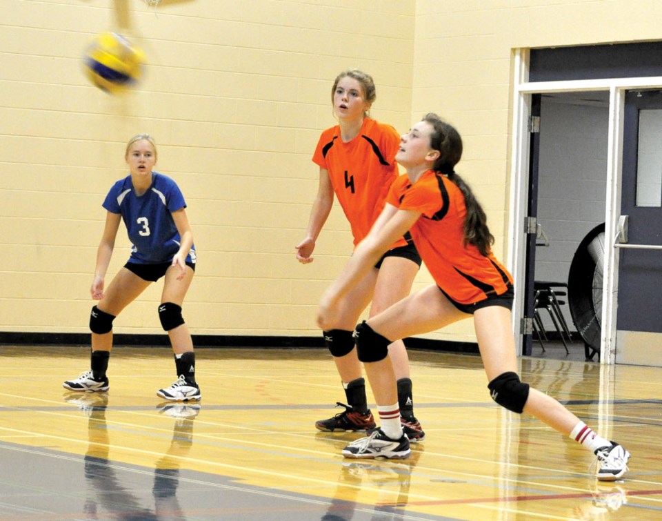 Tigers VBall