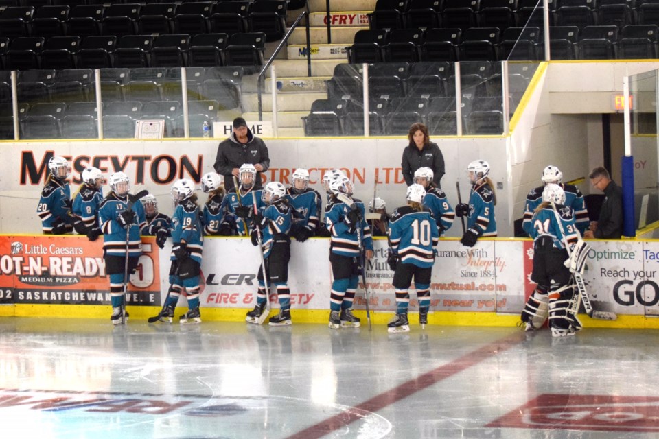 Sharks in Portage