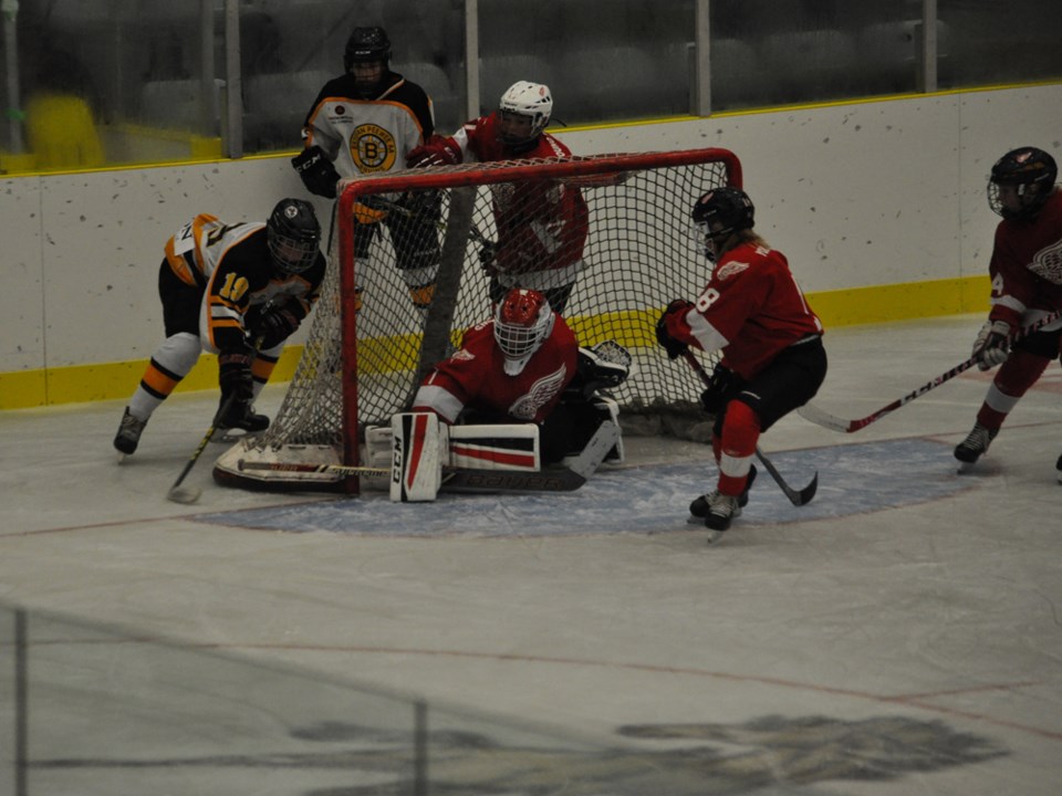 peewee bruins wings oct 2016