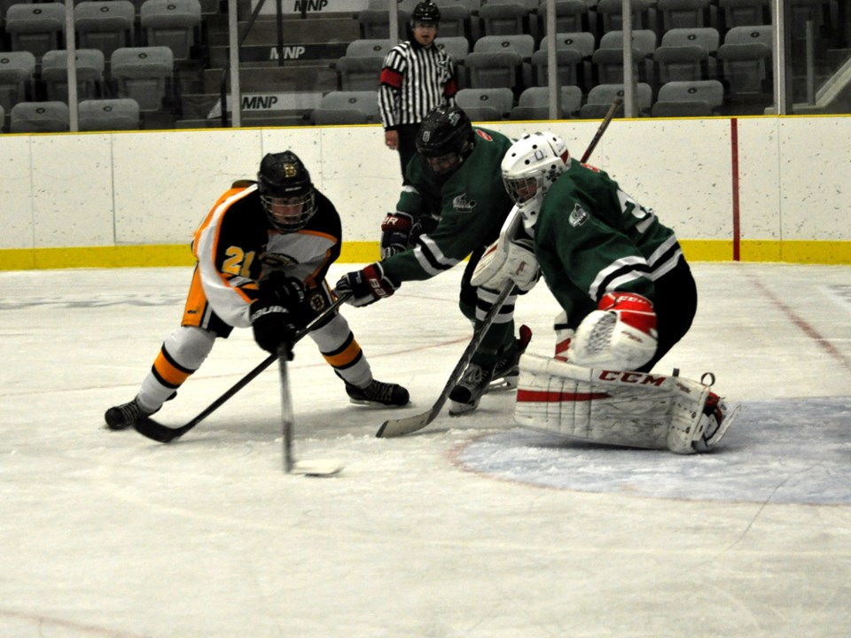 midget bruins schrader october 2016