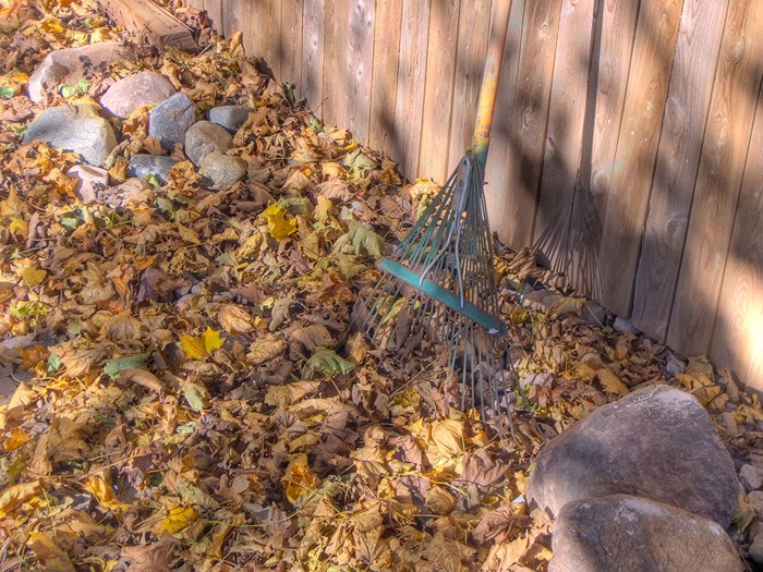 Gardening