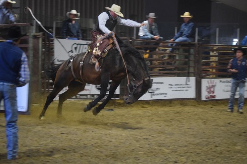 The seven events of a rodeo, plus two special demonstrations with wild ponys and a display of what a well-trained team of heavy horses can do, provided the entertainment at the 18th annual indoor rodeo at Kamsack September 30 and October 1. Among the exciting moments at the rodeo was this one with a cowboy riding a saddled bucking bronco.