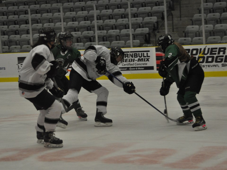 panthers mavericks oct 2016