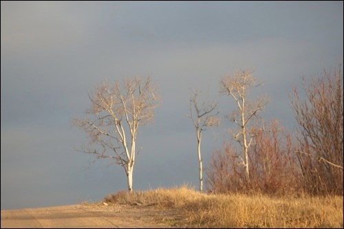 fall rural scene pic