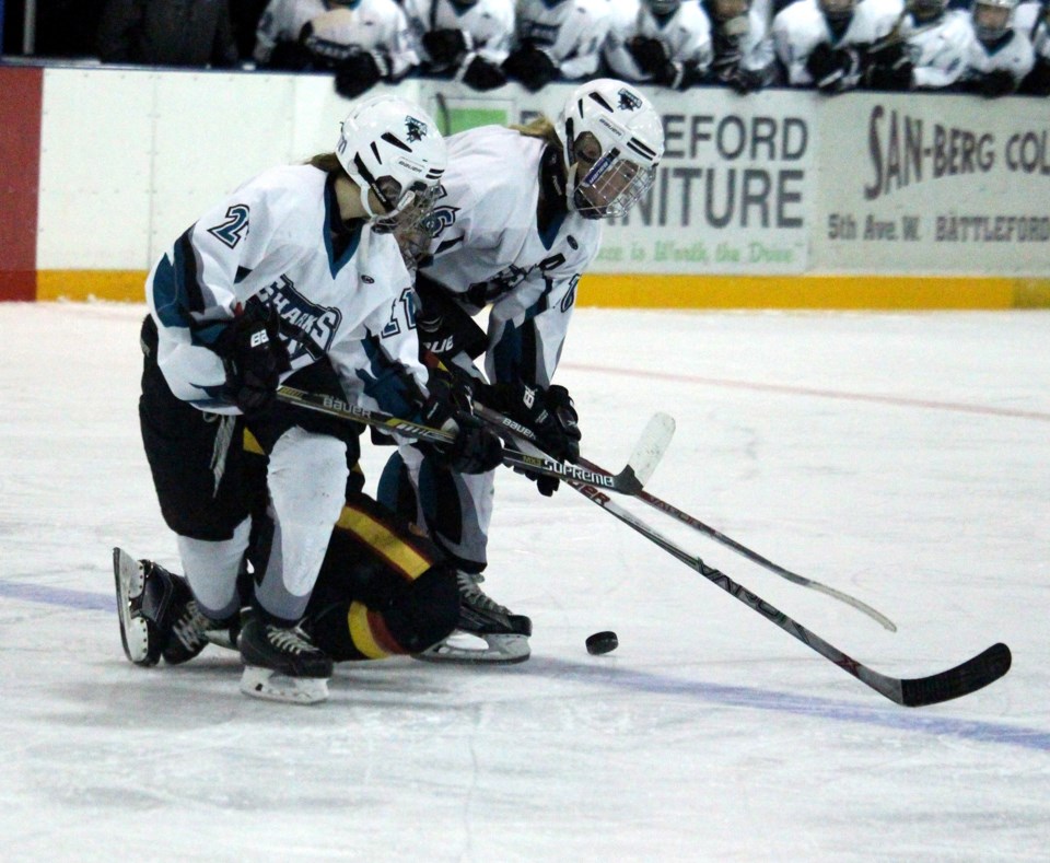 Sharks Regina