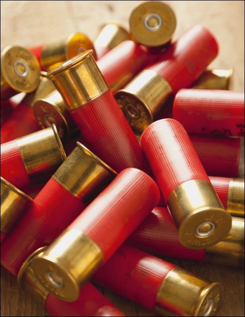 shotgun shells