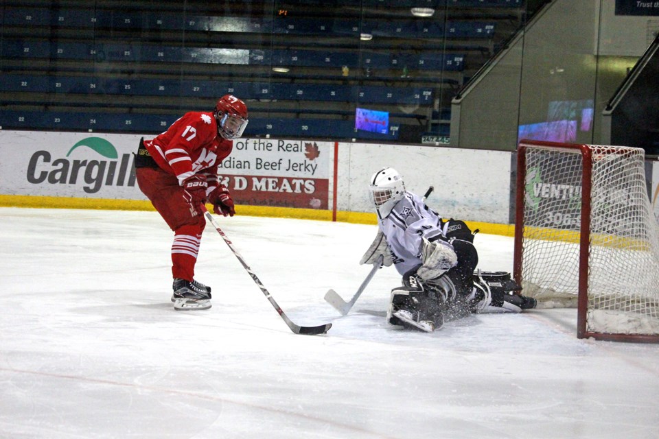 Hounds AAA Stars
