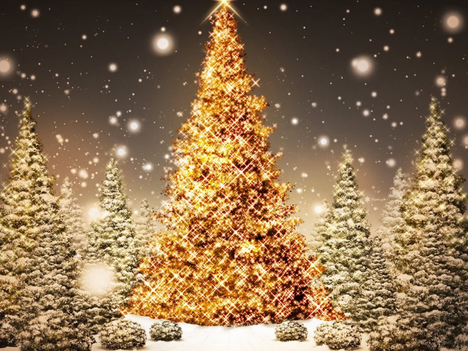 christmas tree