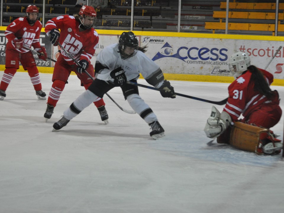 panthers hounds nov 2016