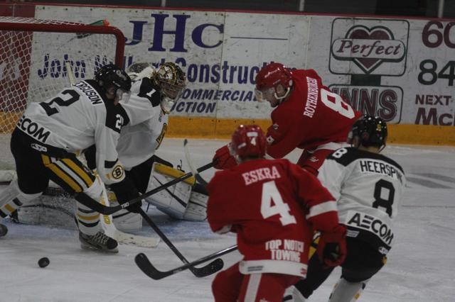 Red Wings