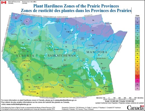 hardiness map